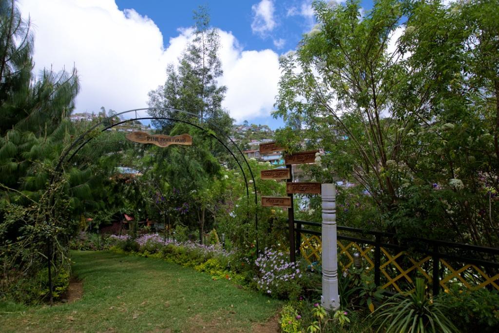 Pine Borough Inn Kodaikanal Exteriér fotografie